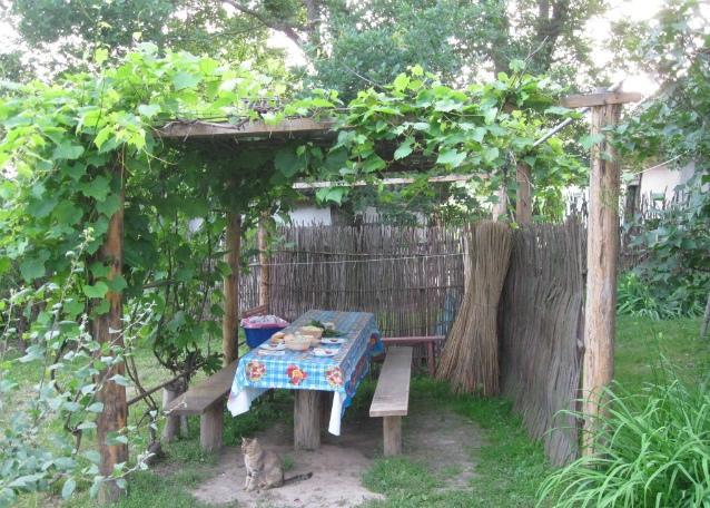Kалиновий Kущ Dmitrenki Exterior foto