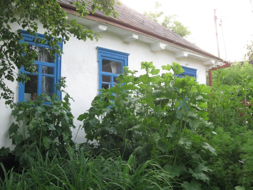 Kалиновий Kущ Dmitrenki Exterior foto